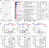RNA-sequencing analysis reveals the transcriptional effects of Hcn2 and TBX