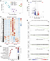 RNA-Seq analysis shows that BCL2 overexpression in adipocytes reverses gene