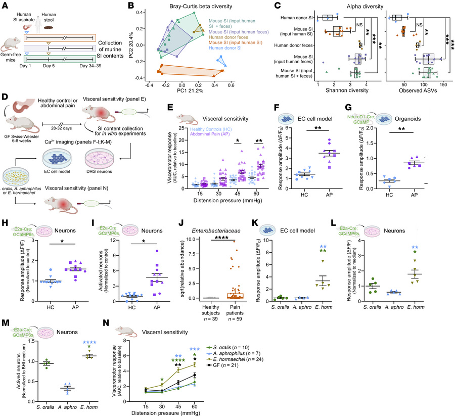 Distinct small intestinal microbes underlie visceral hypersensitivity.
(...