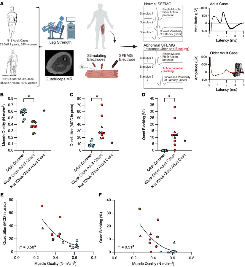 Older adults with clinically meaningful muscle weakness exhibit notable ...