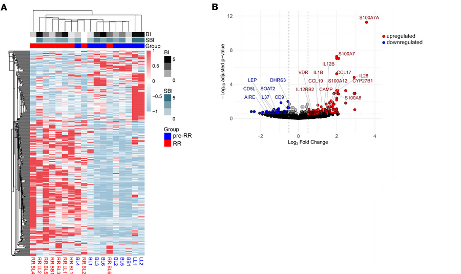 Differential gene expression analysis of RR versus pre-RR groups.
(A) He...