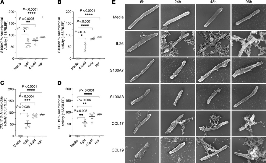 S100A7, S100A8, CCL17, and CCL19 show direct antimicrobial activity agai...