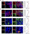 RNA-FISH shows antimicrobial gene expression in RR and pre-RR skin lesions
