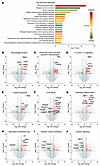 Bulk RNA-seq shows the PDX effects on multiple pathways in DRG of mice with