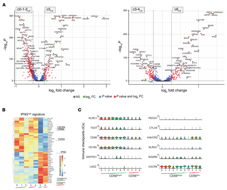 Comparison of liver CD56bright and CD56dim NKLR cells.
(A) Volcano plot ...