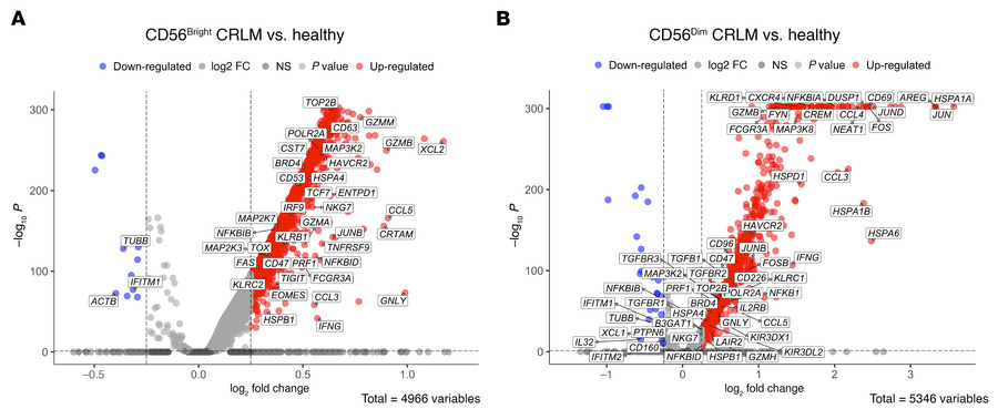 Comparison of CD56bright and CD56dim NK cells in CRLM versus healthy liv...