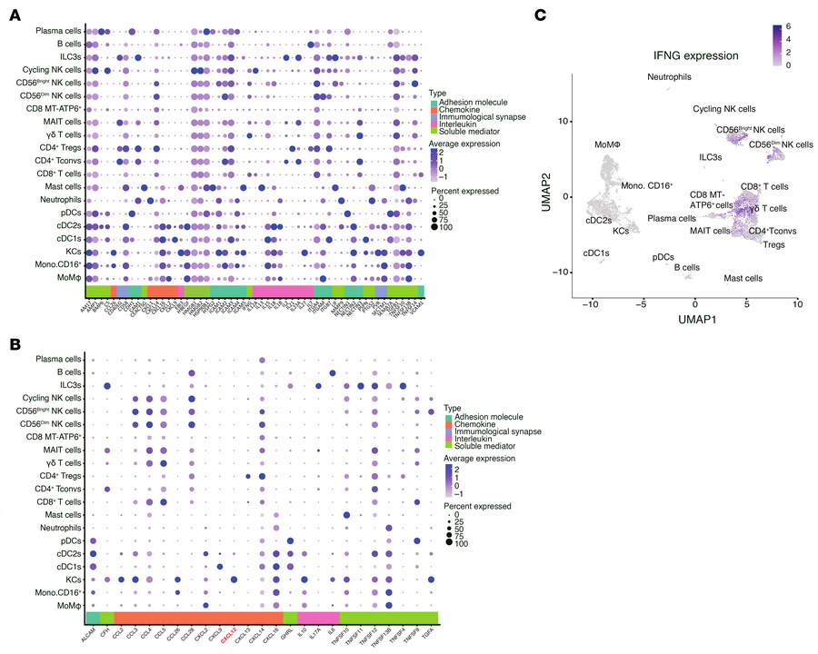 Ligand expression and IFNG interactions in intrahepatic CD45+ cells.
(A)...