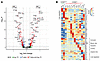 Differential gene expression in NKPB cell clusters.