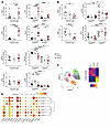 Flow cytometry analysis of blood and tissue NK cells in CRLM patients.