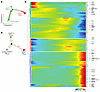 Pseudotime analysis of CD56bright and CD56dim NKLR cells.