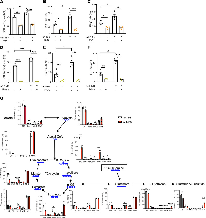 Intracellular GSH content is required for α4-1BB–mediated enhancement in...