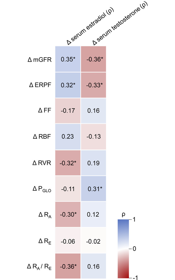 Heatmap with correlations between Δ serum estradiol and serum testostero...