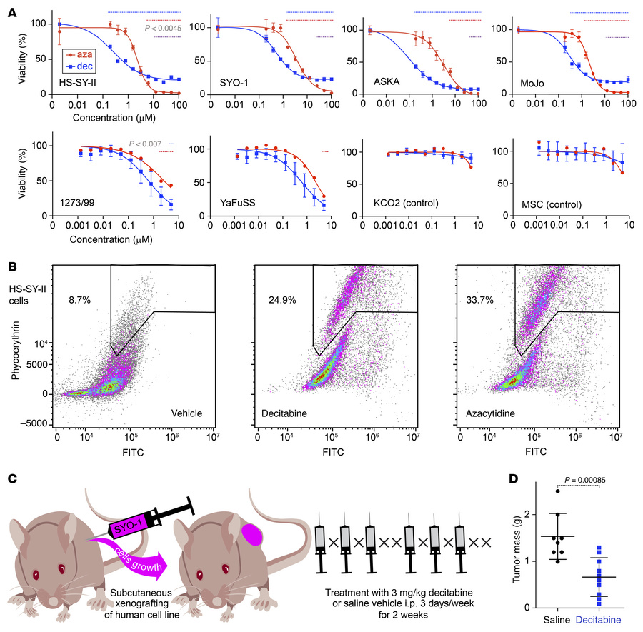 Synovial sarcoma is sensitive to decitabine and azacytidine.
(A) Viabili...