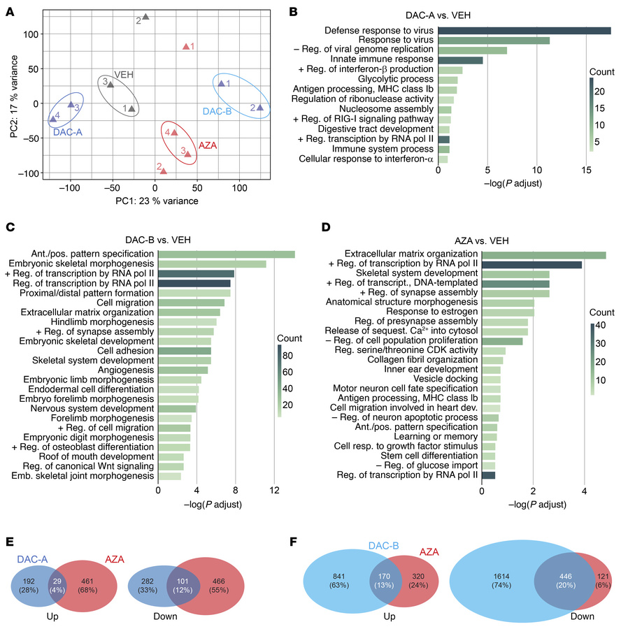 Transcriptional changes by pharmacological demethylation in genetically ...