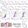 Synovial sarcoma is sensitive to decitabine and azacytidine.