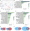 Transcriptional changes by pharmacological demethylation in genetically ind