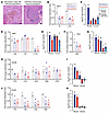 Changes in methylation alter immune-related genes.