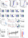 The AR negatively regulates prostate cancer cell IFN signaling via suppress