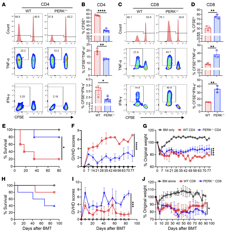 PERK differentially regulates CD4+ and CD8+ T cell responses to alloanti...