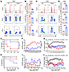 PERK differentially regulates CD4+ and CD8+ T cell responses to alloantigen
