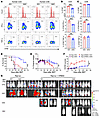Inhibition of PERK reduces GVHD induced by human T cells while maintaining