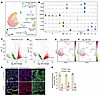 scRNA-seq reveals that inactivation of Pax2 loss correlates with reduction