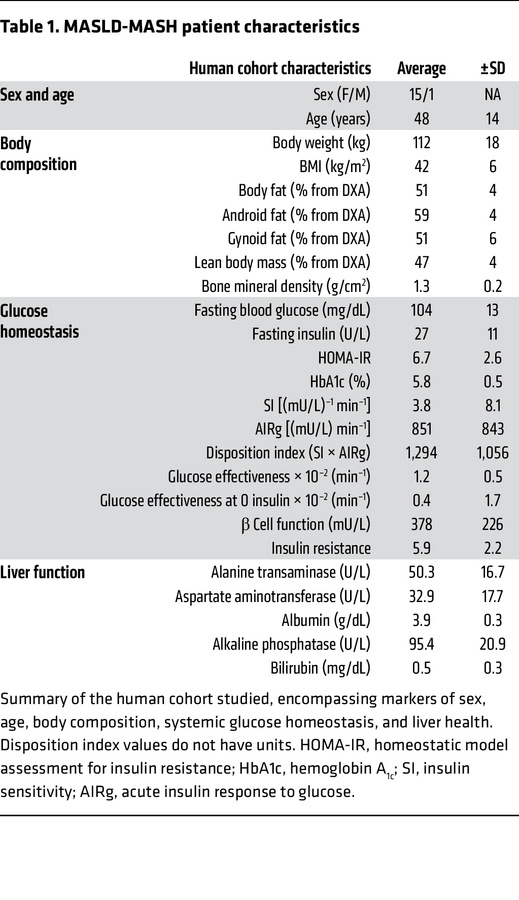 MASLD-MASH patient characteristics