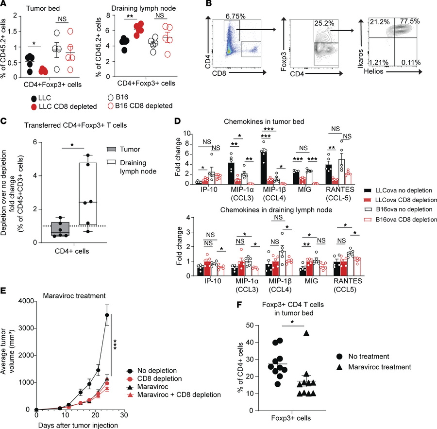 CD8+ T cells promote Treg migration to the tumor microenvironment.
(A) F...
