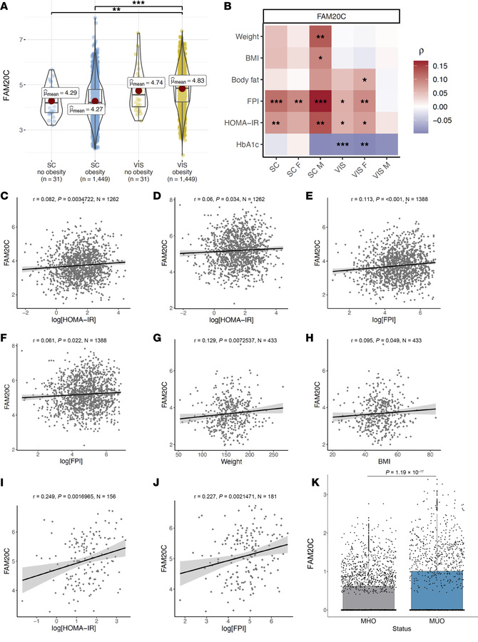 Adipose FAM20C expression in humans positively correlates with insulin r...