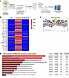 Adipocyte FAM20C phosphorylates a distinct set of intracellular proteins.