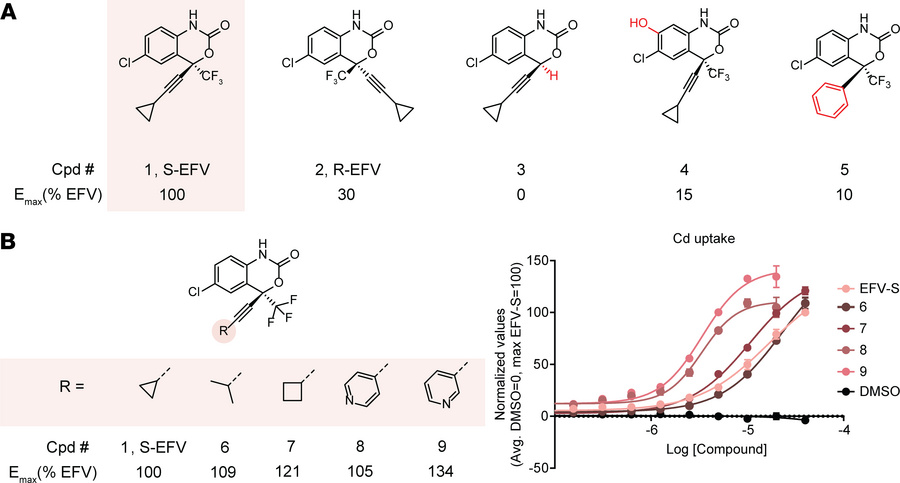 SARs of EFV analogs.
(A) Comparison of active compounds with changes tha...