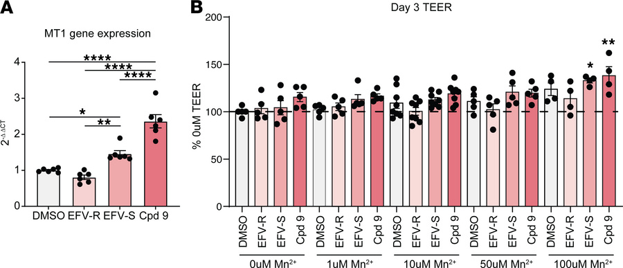 EFV-S and compound 9 increase MT1 gene expression and TEER in primary mu...