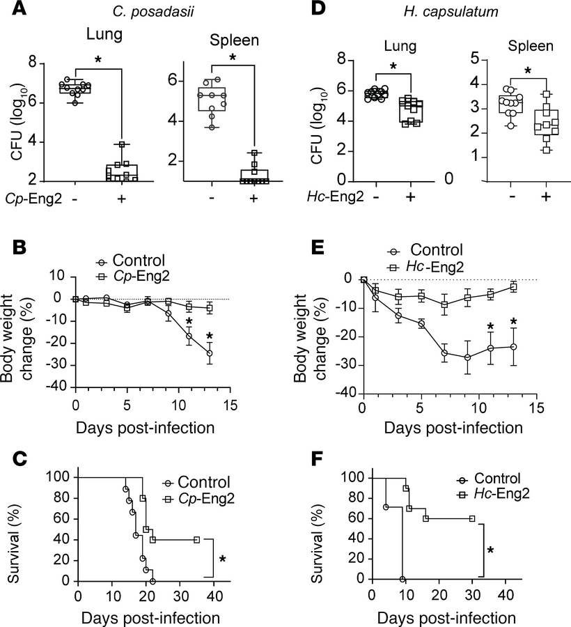 Protective efficacy of Eng2 against endemic dimorphic fungi.
The homolog...