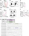 Mapping of Eng2 immunodominant epitopes in C. posadasii and H. capsulatum i