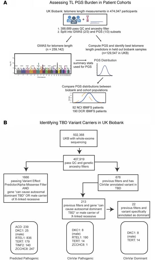Flow Diagram of Study Design.
(A) Schematic of study design to assess po...