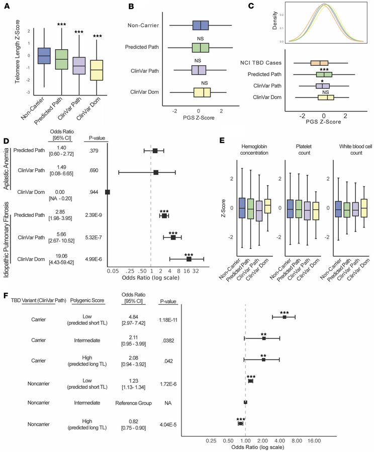 Polygenic modification of TBD expressivity in the UK Biobank.
(A) Measur...
