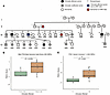 Polygenic modification of expressivity within a family.