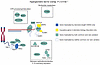 Common and rare genetic variation converges in telomere biology disorders.