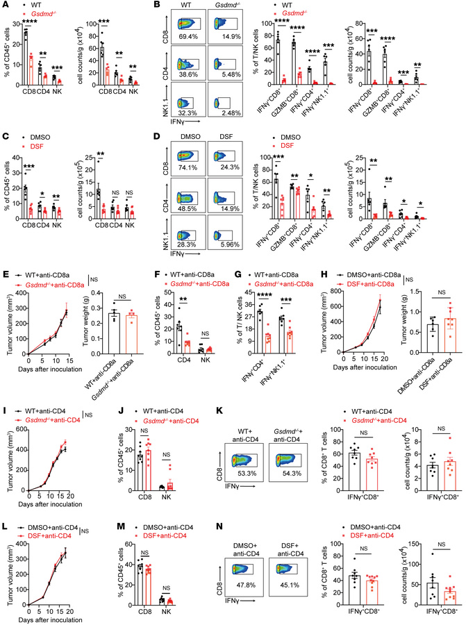 GSDMD inactivation impairs antitumor immunity in a T cell–dependent mann...