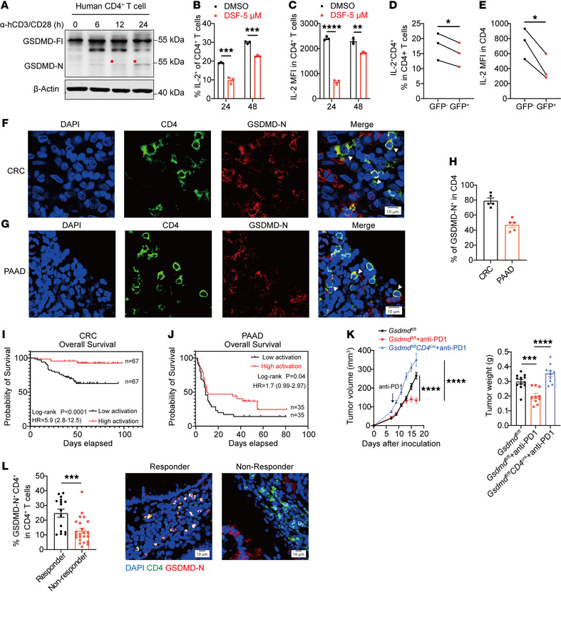 GSDMD activation in CD4+ T cells correlates with survival benefit and im...