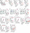 GSDMD in CD4+ T cells promotes antitumor immunity by increasing IL-2 produc
