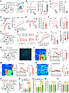 The AMGlu-mNAcShD2-LHAorexin pathway controls pain hypersensitivity.