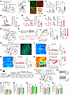 LS GABAergic neurons modulate depression-like behaviors by connection with