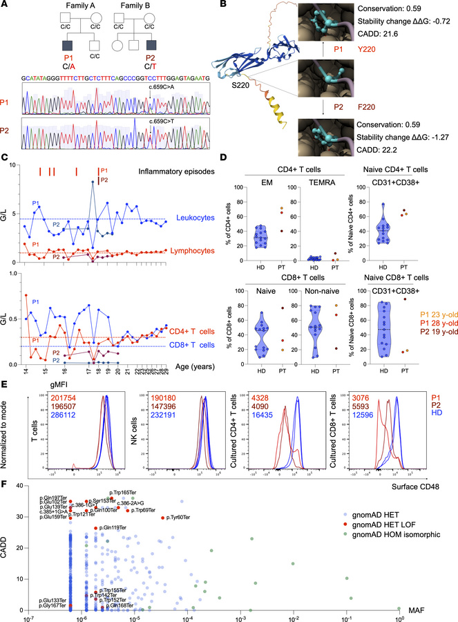 Genetic and immunologic characteristics of patients with different CD48 ...