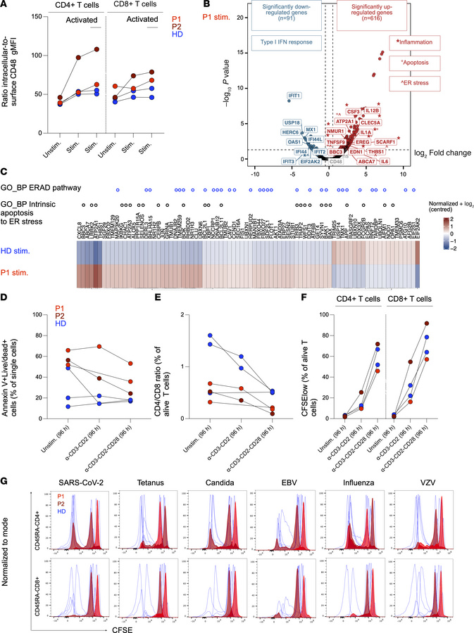 Activation-associated intracellular CD48 accumulation in patient T cells...