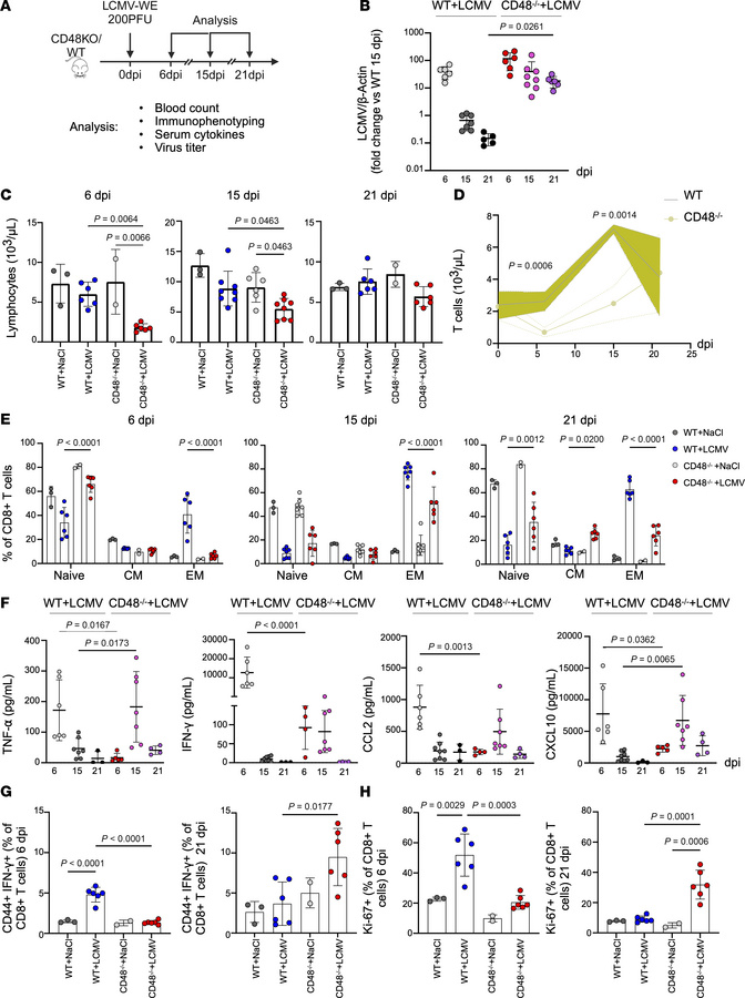 Impaired viral clearance, delayed immune reaction, and inflammation in C...