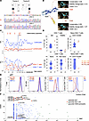 Genetic and immunologic characteristics of patients with different CD48 S22