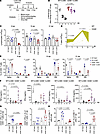 Impaired viral clearance, delayed immune reaction, and inflammation in CD48