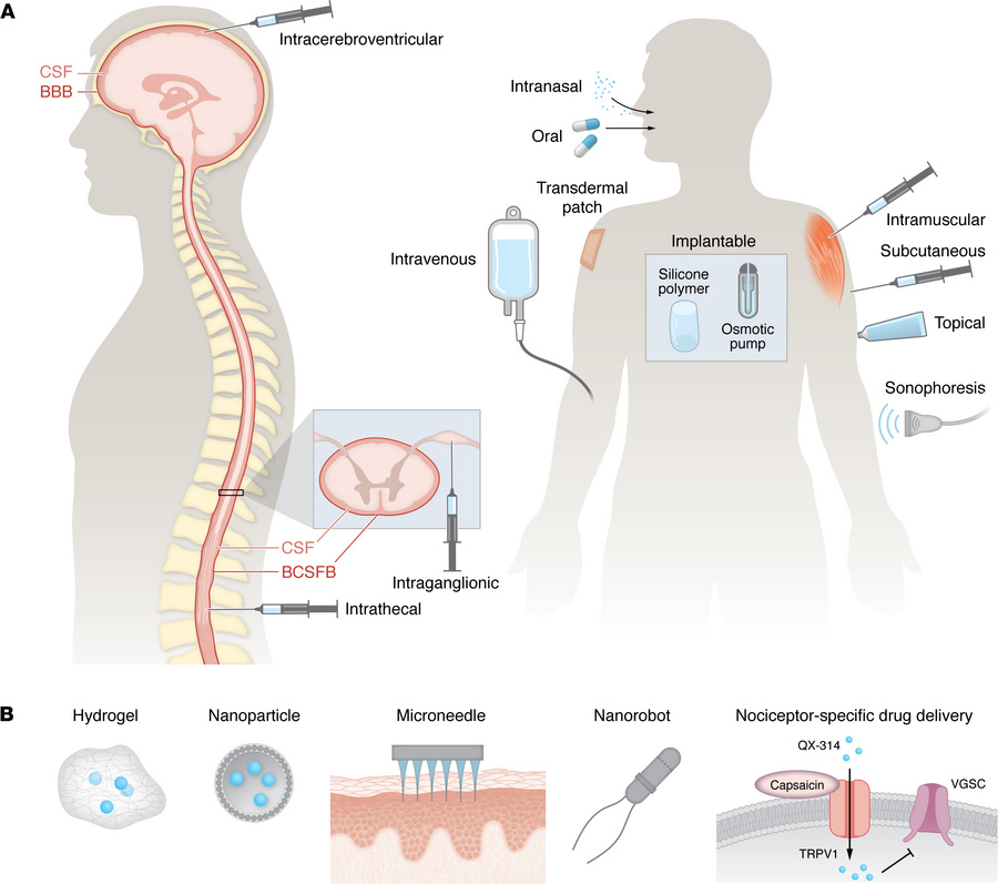 Drug delivery routes and techniques that enhance delivery efficacy and p...