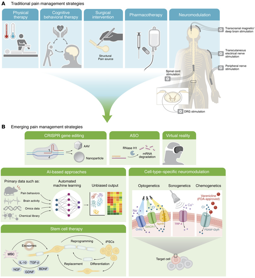 Current and emerging technologies for pain management.
(A) Traditional a...